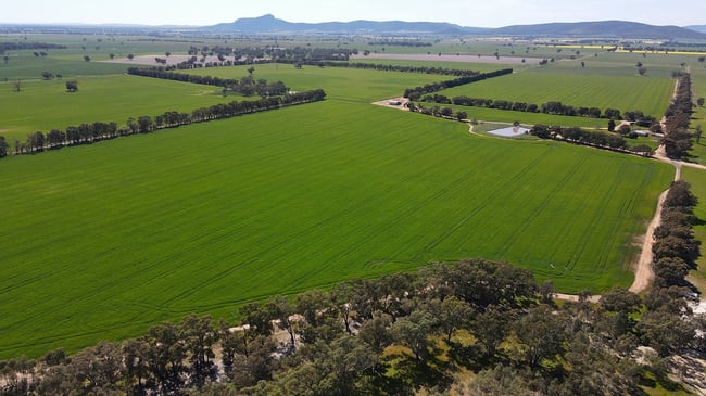 788 Mittagong Yerong Creek Road Yerong Creek NSW 2642