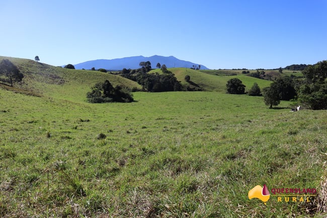 Butchers Creek QLD 4885