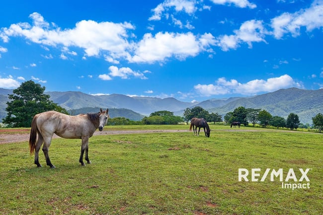 332 Goldsborough Road Goldsborough QLD 4865 332 Goldsborough Road Goldsborough QLD 4865
