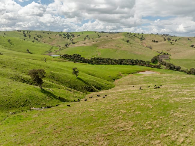 Spring Hill Nangus Road Gundagai NSW 2722 Spring Hill Nangus Road Gundagai NSW 2722