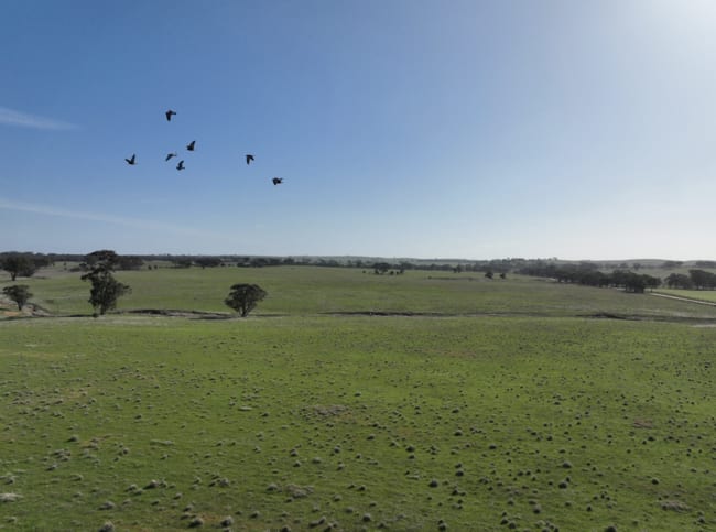 0 Berrimal-Nine Mile Road Nine Mile VIC 3518 0 Berrimal-Nine Mile Road Nine Mile VIC 3518