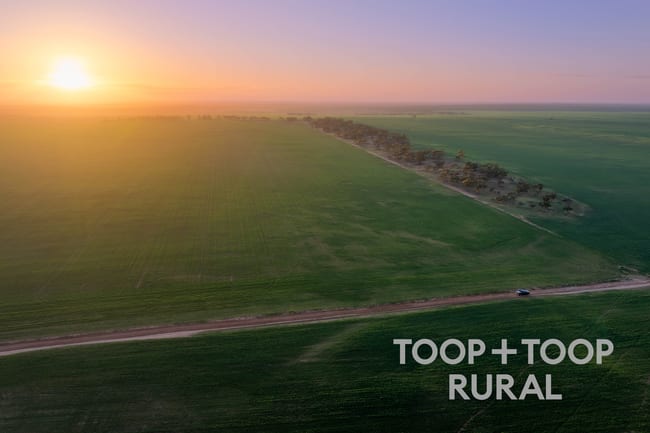 735 Koch Road (via Loxton) Taldra SA 5311 735 Koch Road (via Loxton) Taldra SA 5311
