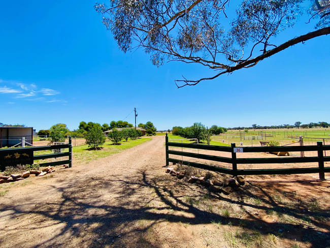 36 Lesterfield Lane Coolamon NSW 2701
