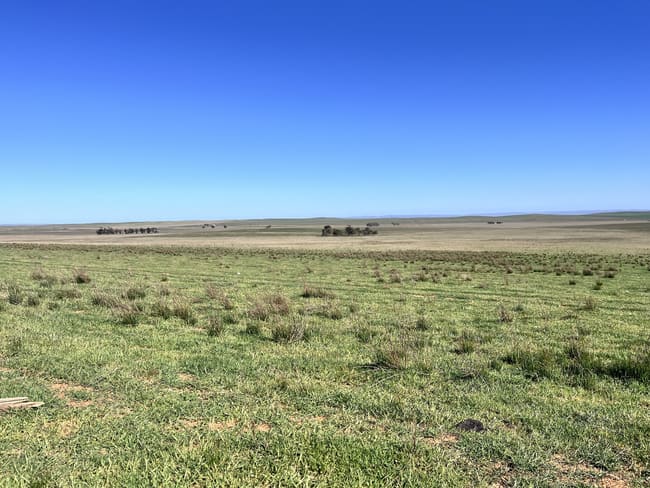 "Strathayr" 846 Cleary Road Sunnybrae SA 5422