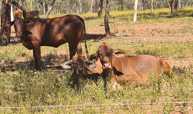 Cape Leveque Road Broome WA 6725 Cape Leveque Road Broome WA 6725