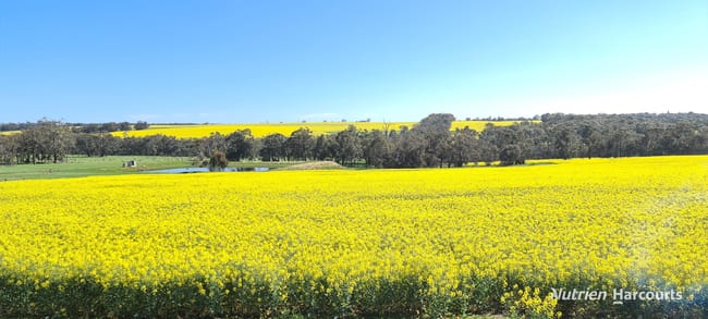 1606 Wingebellup Road Frankland River WA 6396 1606 Wingebellup Road Frankland River WA 6396