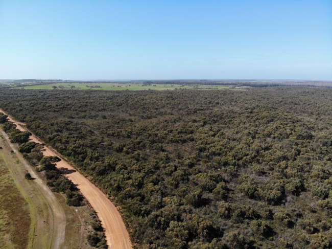 105 Colmans Road Western River SA 5223 105 Colmans Road Western River SA 5223