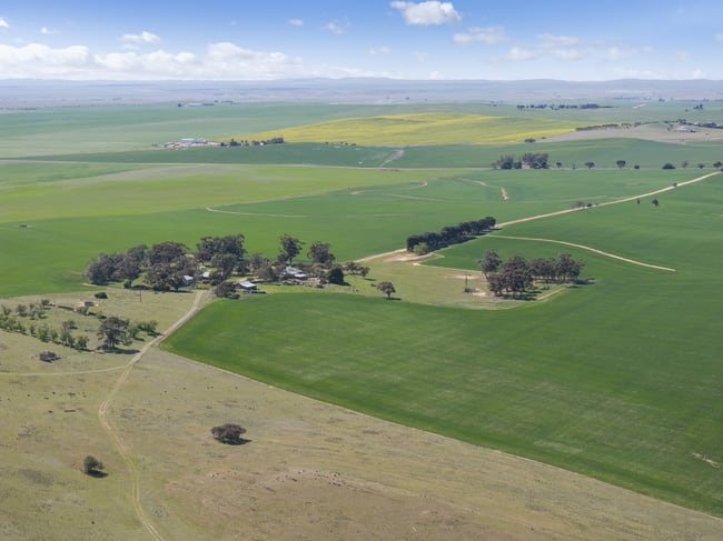 1032 Frost Road Jamestown SA 5491
