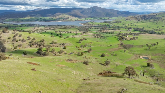 'Dalkeith'/2159 Wymah Rd Wymah NSW 2640
