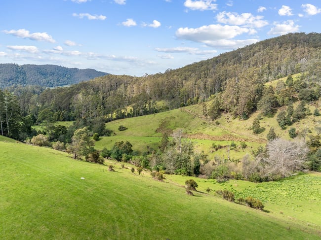 Lot 1 Forest Lodge Road Pyengana TAS 7216