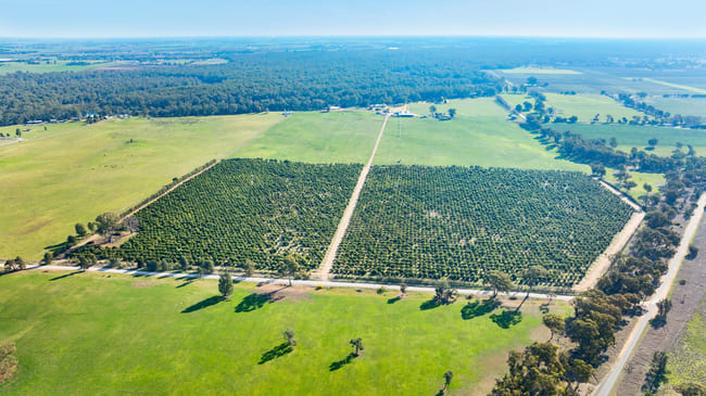 Sepelts Road Barooga NSW 3644 Sepelts Road Barooga NSW 3644