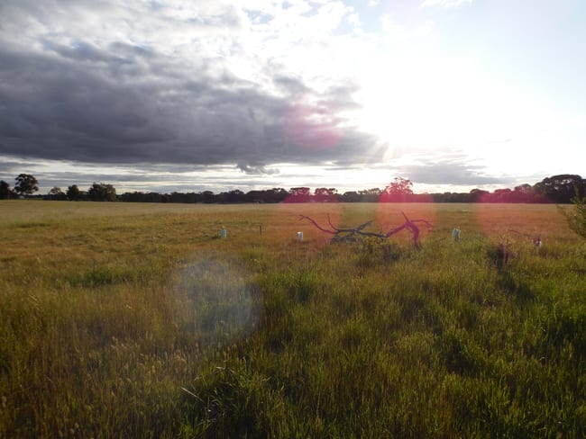 Lot 417 Great Southern Highway Broomehill Village WA 6318 Lot 417 Great Southern Highway Broomehill Village WA 6318