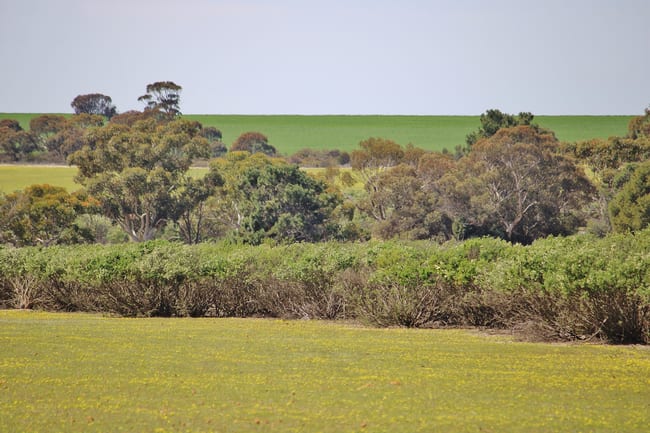 Lot 14 Kulin/Dudinin Road Dudinin WA 6363