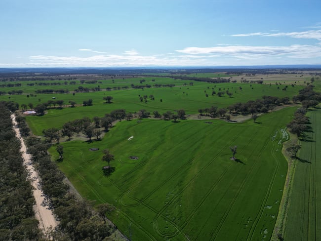 3531 Yetman Road Graman NSW 2360 3531 Yetman Road Graman NSW 2360