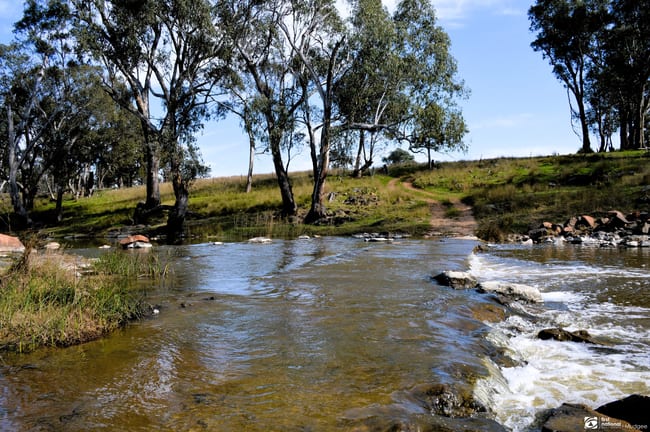 The Springs Road, Benolong, Lot 25 in DP 753232 Yeoval NSW 2868 The Springs Road, Benolong, Lot 25 in DP 753232 Yeoval NSW 2868
