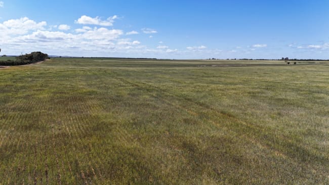 Pcs 56 & 57 Langhorne Creek Road Mulgundawa SA 5255