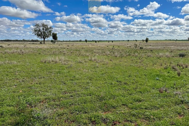 KOOREGAH STATION Yarrandale Road Hermidale NSW 2831