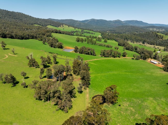 769 Buxton Marysville Road Marysville VIC 3779