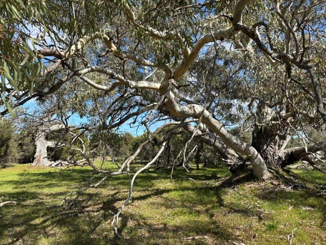 Sec 82 & 1 Windemere Road Mount Drummond SA 5607