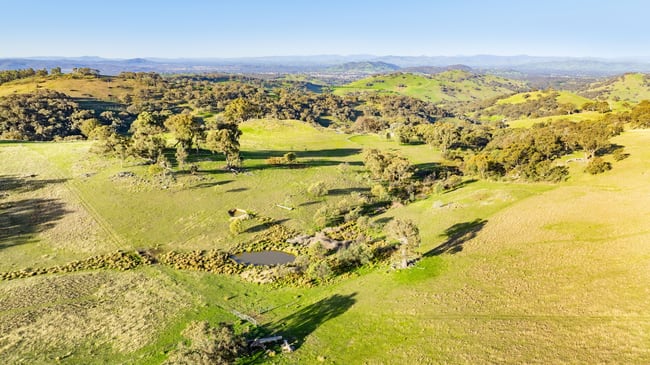 123B Bortolot Road Huon Creek VIC 3691 123B Bortolot Road Huon Creek VIC 3691