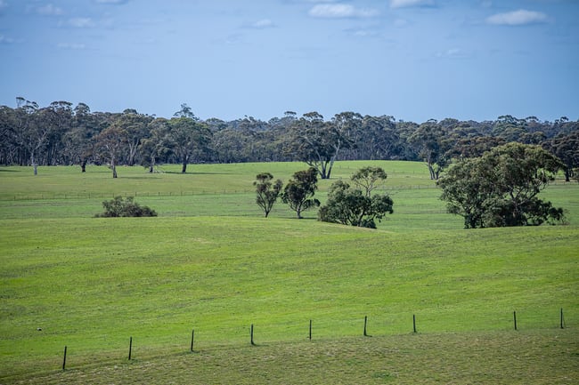 220 Old Stone Tank Road Mundulla SA 5270
