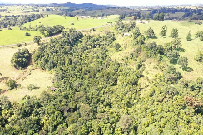 581 Theresa Creek Road Millaa Millaa QLD 4886 581 Theresa Creek Road Millaa Millaa QLD 4886