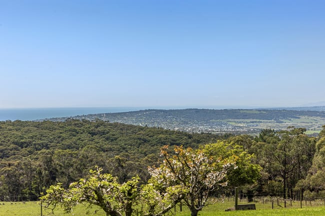 470 Arthurs Seat Road Red Hill VIC 3937