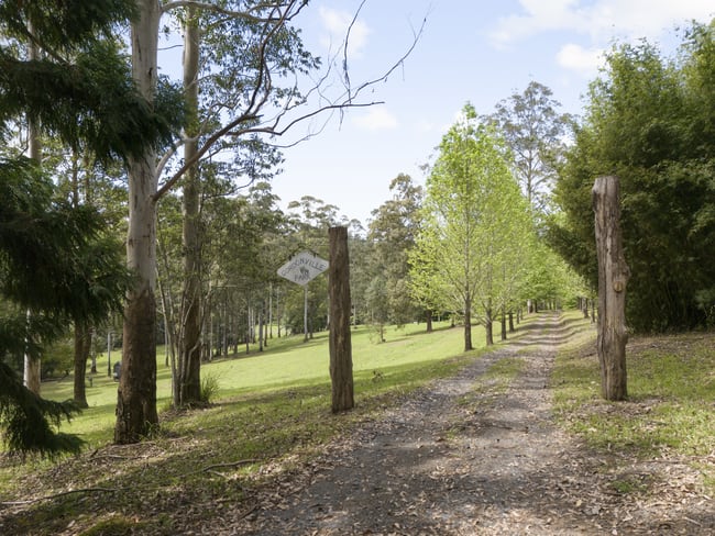 1 Freida Hicks Drive Bellingen NSW 2454 1 Freida Hicks Drive Bellingen NSW 2454