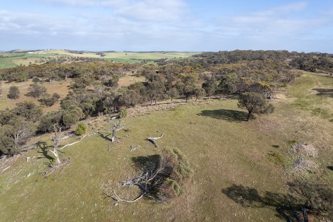 Lots 99 & Bawdens Road Tumby Bay SA 5605