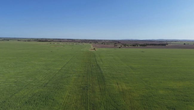 12056 Mullewa-Wubin Road Perenjori WA 6620