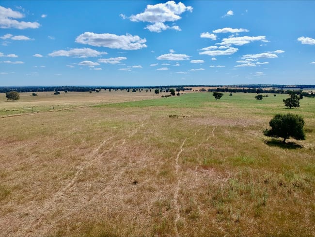 1032 Manna Forest Rd Burcher NSW 2671 1032 Manna Forest Rd Burcher NSW 2671