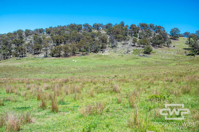 11, - Ten Mile Rd Deepwater NSW 2371