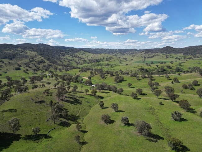 5192 Halls Creek Road Halls Creek NSW 2346