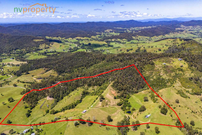 99 Whip Mountain Road Yarranbella NSW 2447 99 Whip Mountain Road Yarranbella NSW 2447