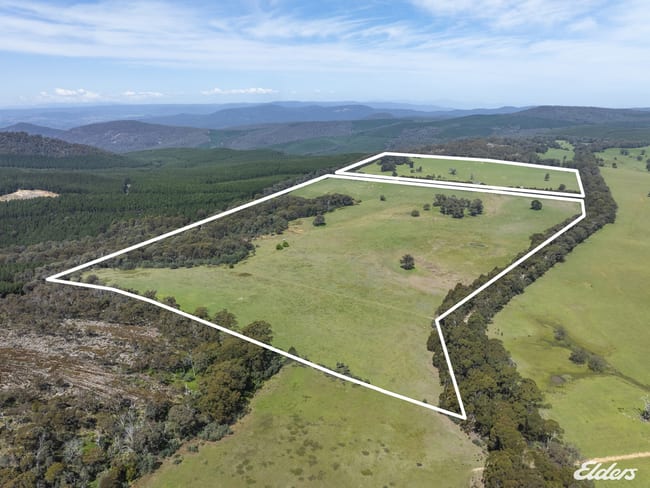 1187 Bonnie Doon Road Boho South VIC 3669 1187 Bonnie Doon Road Boho South VIC 3669