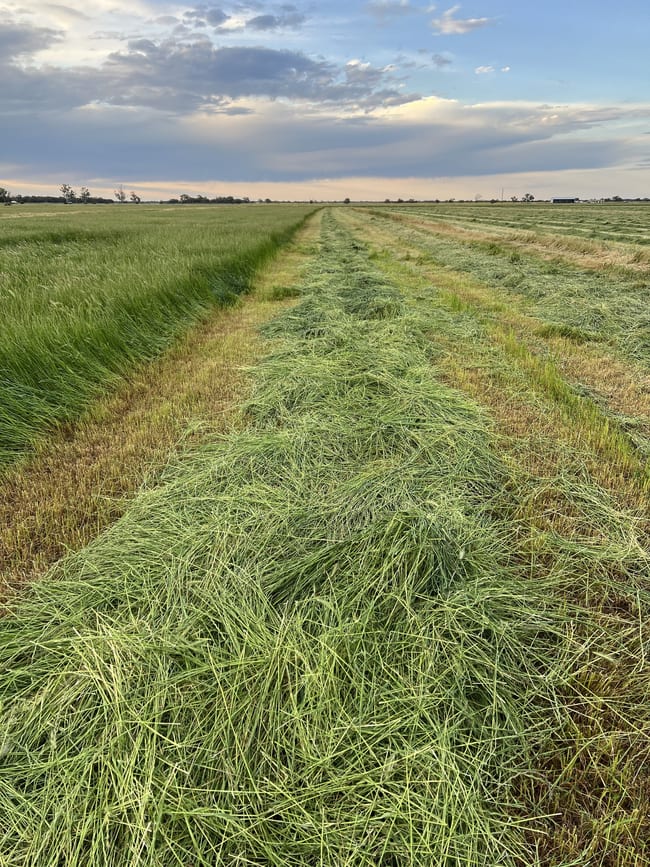 8499 Murray Valley Highway Kerang East VIC 3579 8499 Murray Valley Highway Kerang East VIC 3579