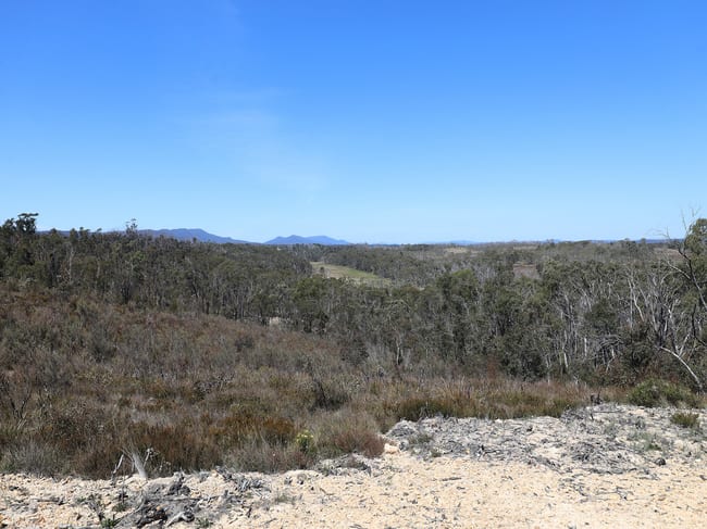 307 Quilty Road Wog Wog NSW 2622
