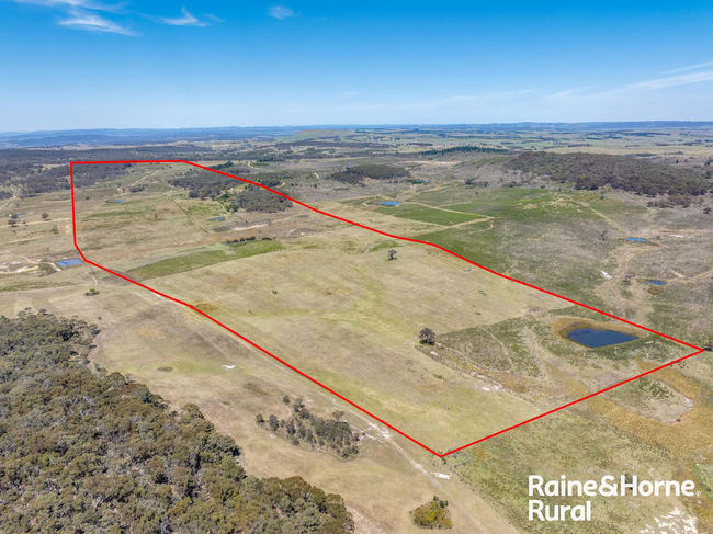 495 Graywood Siding Road Woodhouselee NSW 2580