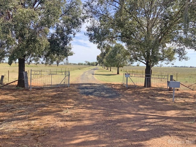 71 Gospers Lane Peak Hill NSW 2869