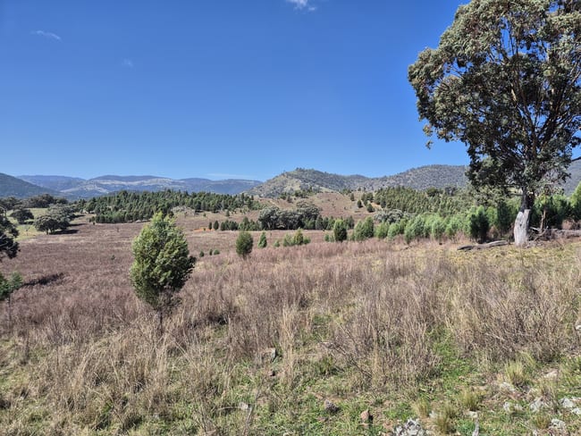 46 Worlds End Rd Yarrabin NSW 2850 46 Worlds End Rd Yarrabin NSW 2850