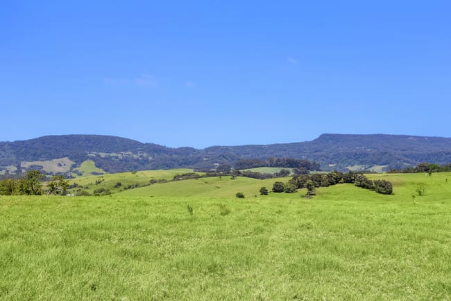 Lot 22 Jamberoo Road Jerrara NSW 2533 Lot 22 Jamberoo Road Jerrara NSW 2533