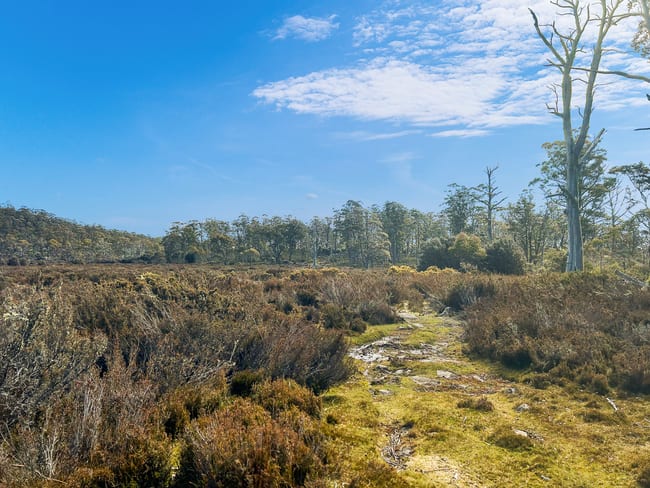 331L Arthurs Lake Road Arthurs Lake TAS 7030 331L Arthurs Lake Road Arthurs Lake TAS 7030