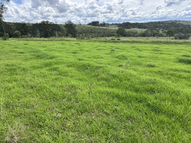 Pechey QLD 4352