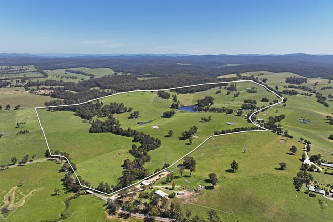 310 Jarrahmond Road Jarrahmond VIC 3888 310 Jarrahmond Road Jarrahmond VIC 3888