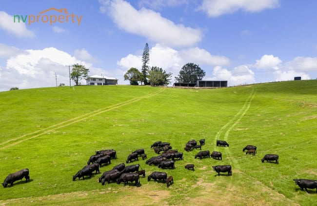 Lot 1, 103 Soldier Settlers Road Newee Creek NSW 2447 Lot 1, 103 Soldier Settlers Road Newee Creek NSW 2447