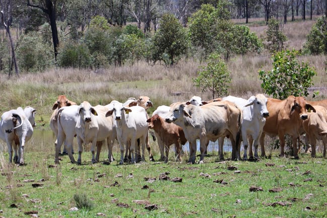 Lot 33, 34 & 35 Bilboolan Road, Mungy Mount Perry QLD 4671 Lot 33, 34 & 35 Bilboolan Road, Mungy Mount Perry QLD 4671