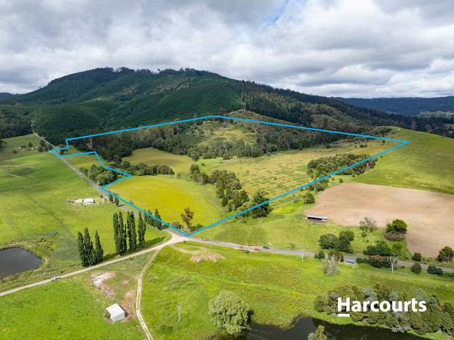 Lot 1 South Springfield Road Springfield TAS 7260 Lot 1 South Springfield Road Springfield TAS 7260