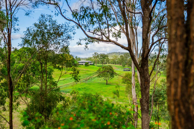 539 Oaky Creek Road Oaky Creek QLD 4285