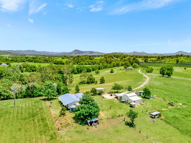 55 Lower Buckra Bendinni Road Bowraville NSW 2449 55 Lower Buckra Bendinni Road Bowraville NSW 2449