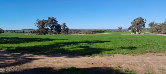 210 Yenellin Road East Pingelly WA 6308